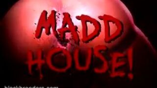 Welcome to the Maddhouse