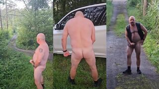 Task in the forest accomplished