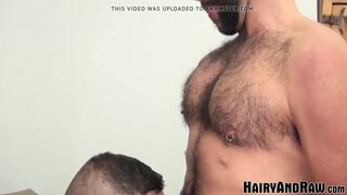 HAIRYANDRAW Hairy Teddy Torres And Alessio Romero Bareback