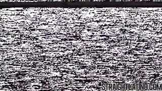 Straight Latino cutie sucks dick before bareback action