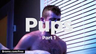 Hairy muscular guy takes a big hard cock in the ass - StepBro