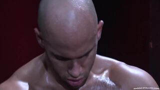 Hot Sean Zevran HOT Body Suit